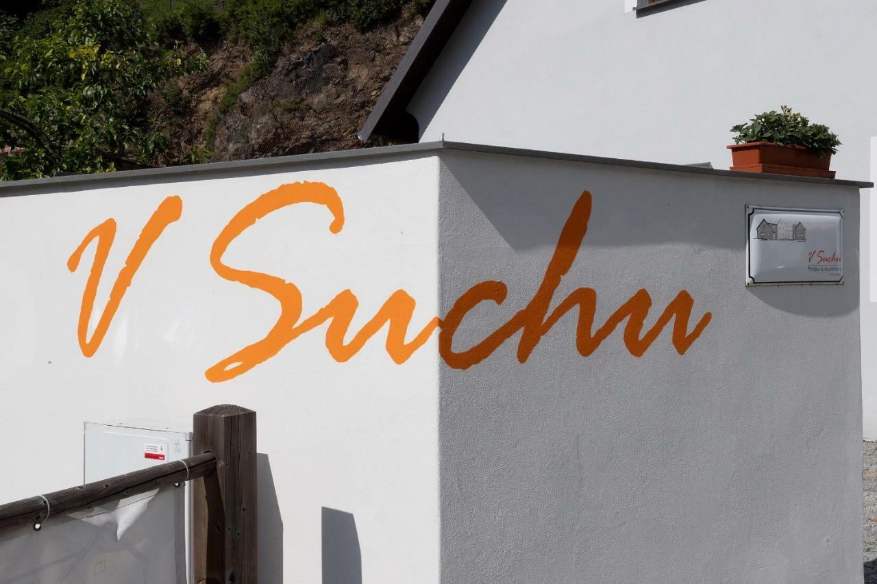 Penzion V Suchu Český Krumlov Eksteriør bilde